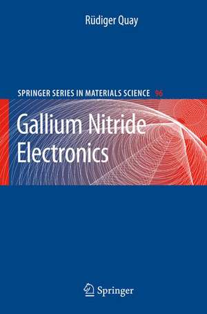 Gallium Nitride Electronics de Rüdiger Quay