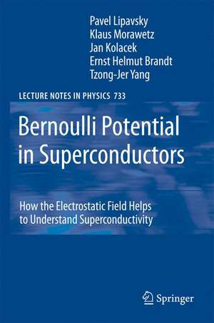 Bernoulli Potential in Superconductors: How the Electrostatic Field Helps to Understand Superconductivity de Pavel Lipavsky