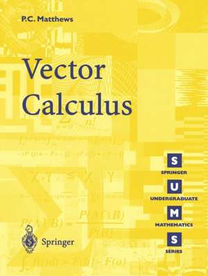 Vector Calculus de Paul C. Matthews