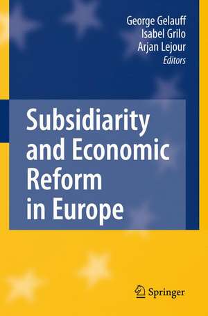 Subsidiarity and Economic Reform in Europe de George Gelauff