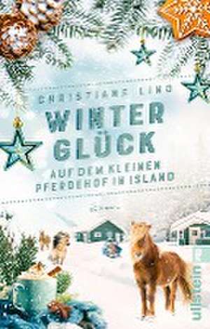 Winterglück auf dem kleinen Pferdehof in Island de Christiane Lind