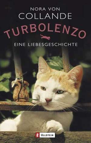 Turbolenzo de Nora von Collande