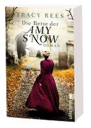 Die Reise der Amy Snow de Tracy Rees