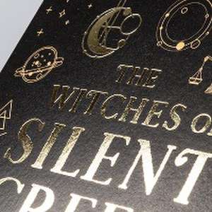 The Witches of Silent Creek 1: Unendliche Macht de Ayla Dade