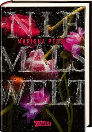 Niemalswelt de Marisha Pessl