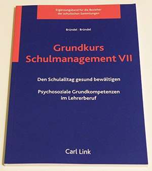 Grundkurs Schulmanagement VII de Heidrun Bründel