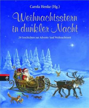 Weihnachtsstern in dunkler Nacht de Carola Henke