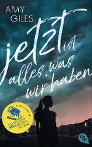 Jetzt ist alles, was wir haben de Amy Giles