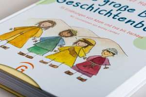 Das große Bibel-Geschichtenbuch de Frieder Harz