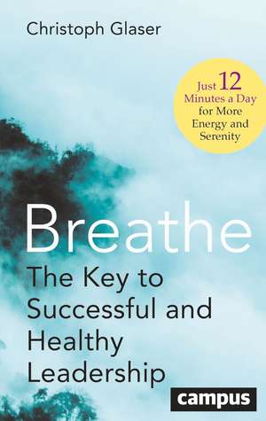 Breathe: The Key to Successful and Healthy Leadership—Just 12 Minutes a Day for More Energy and Serenity de Christoph Glaser