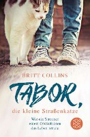 Tabor, die kleine Straßenkatze de Britt Collins