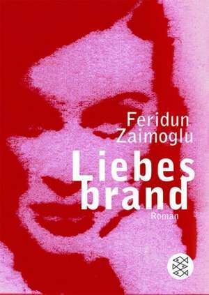 Liebesbrand de Feridun Zaimoglu