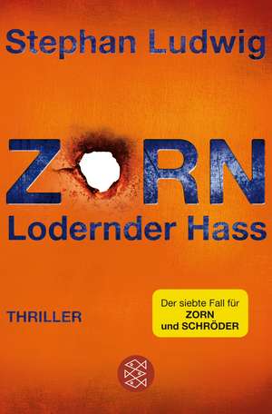 Zorn - Lodernder Hass de Stephan Ludwig