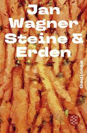 Steine & Erden de Jan Wagner