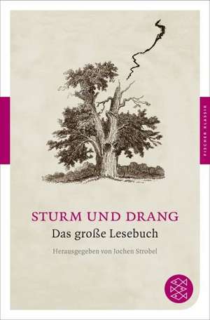 Sturm und Drang de Jochen Strobel