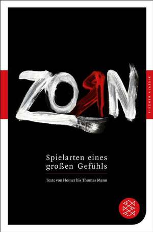 Zorn - Spielarten eines großen Gefühls de Ricarda Junge