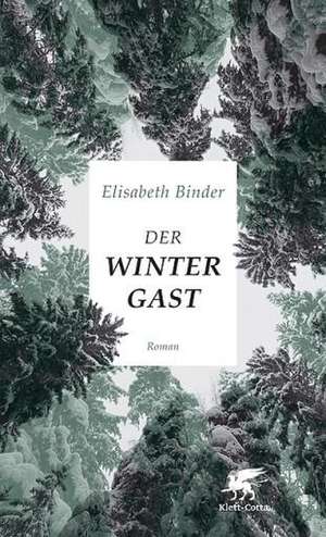 Der Wintergast de Elisabeth Binder