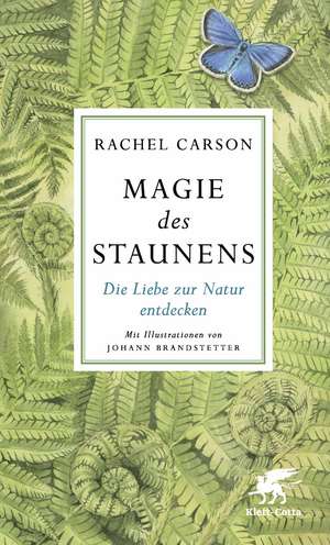 Magie des Staunens de Rachel Carson