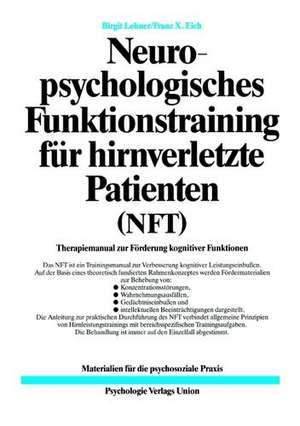 Neuropsychologisches Funktionstraining für hirnverletzte Patienten de Birgit B. Lehner