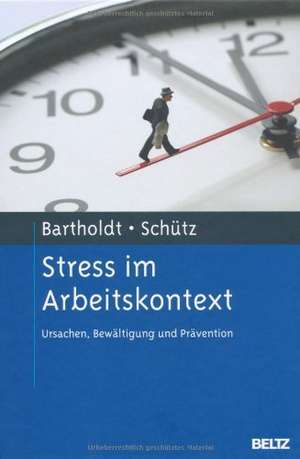 Stress im Arbeitskontext de Luise Bartholdt