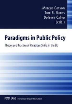 Paradigms in Public Policy de Marcus Carson