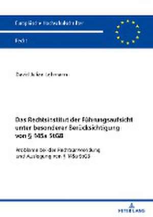 Das Rechtsinstitut der Fuehrungsaufsicht unter besonderer Beruecksichtigung von 145a StGB de David Lehmann