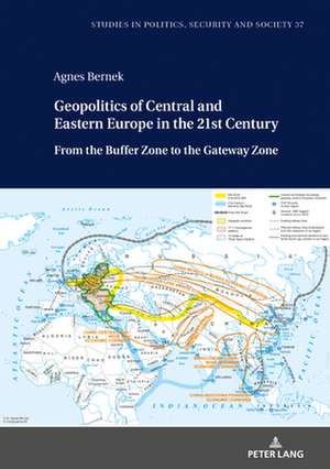 Central and Eastern Europe in the Geopolitical/Geo-economic Strategies of the 21st Century de Agnes Bernek