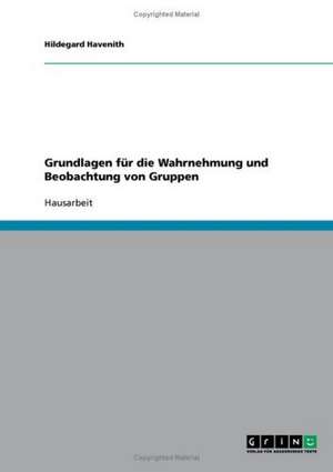 Grundlagen für die Wahrnehmung und Beobachtung von Gruppen de Hildegard Havenith