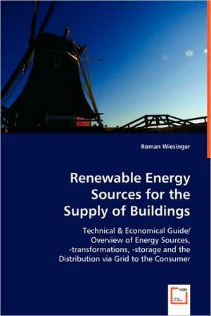 Renewable Energy Sources for the Supply of Buildings de Roman Wiesinger