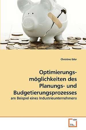 Optimierungs- möglichkeiten des Planungs- und Budgetierungsprozesses de Christine Eder