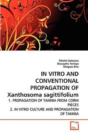 In Vitro and Conventional Propagation of Xanthosoma sagittifolium de Tifsehit Solomon