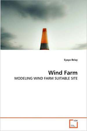 Wind Farm de Eyaya Belay