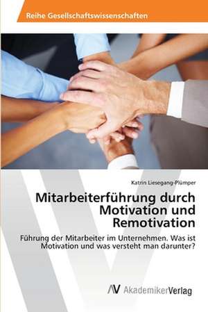 Mitarbeiterführung durch Motivation und Remotivation de Liesegang-Plümper Katrin