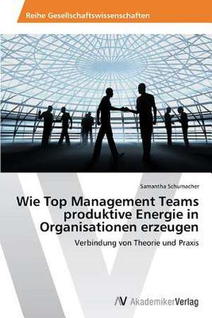 Wie Top Management Teams produktive Energie in Organisationen erzeugen de Schumacher Samantha