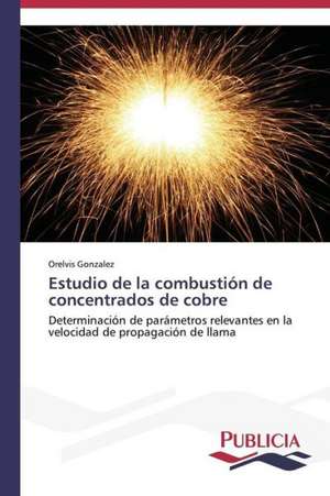 Estudio de La Combustion de Concentrados de Cobre: Emilio Carrere y Edgar Neville de Orelvis Gonzalez