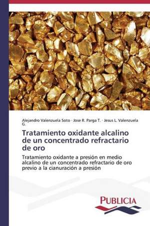 Tratamiento Oxidante Alcalino de Un Concentrado Refractario de Oro: El Discurso Kirchnerista de Alejandro Valenzuela Soto