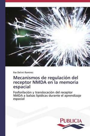 Mecanismos de Regulacion del Receptor Nmda En La Memoria Espacial: de La Agricultura Al Turismo de Ilse Delint Ramirez