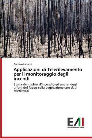 Applicazioni Di Telerilevamento Per Il Monitoraggio Degli Incendi: A Focus on Earthquake Models de Antonio Lanorte