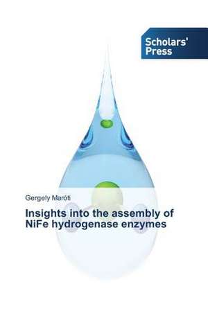 Insights Into the Assembly of Nife Hydrogenase Enzymes: Three Female Generations de Gergely Maróti