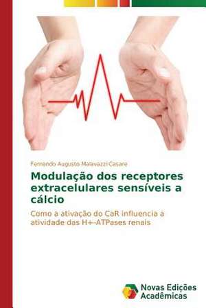 Modulacao DOS Receptores Extracelulares Sensiveis a Calcio: Significados E Sentidos Da Atuacao de Fernando Augusto Malavazzi Casare