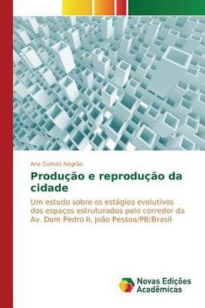 Producao E Reproducao Da Cidade: O Que Pensam OS Professores? de Ana Gomes Negrão