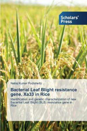 Bacterial Leaf Blight Resistance Gene, Xa33 in Rice: A Data Mining Approach de Natraj Kumar Podishetty