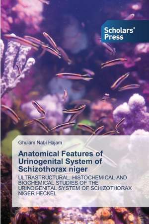 Anatomical Features of Urinogenital System of Schizothorax Niger: Smart Resource Allocation and Optimization de Ghulam Nabi Hajam