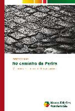 No Caminho Da Pedra: Colonialismo, Burocracia, Religiao de Valter Rodrigues