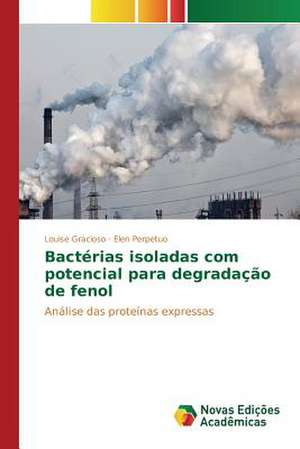 Bacterias Isoladas Com Potencial Para Degradacao de Fenol: Uma Analise de Lucas 6,20-26 de Louise Gracioso