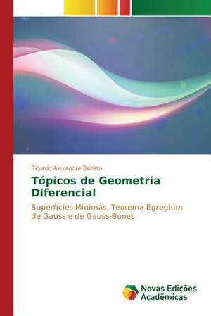 Topicos de Geometria Diferencial: Um Olhar Fenomenologico de Ricardo Alexandre Batista