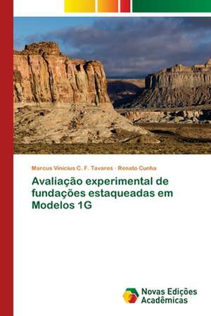 Avaliacao Experimental de Fundacoes Estaqueadas Em Modelos 1g: Praticas E Discursos de Marcus Vinicius C. F. Tavares