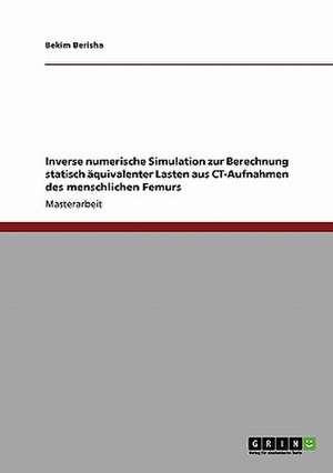 Inverse numerische Simulation zur Berechnung statisch äquivalenter Lasten aus CT-Aufnahmen des menschlichen Femurs de Bekim Berisha