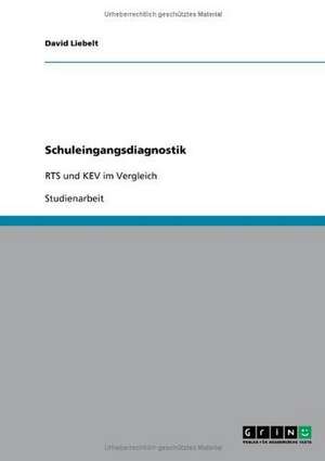 Schuleingangsdiagnostik de David Liebelt