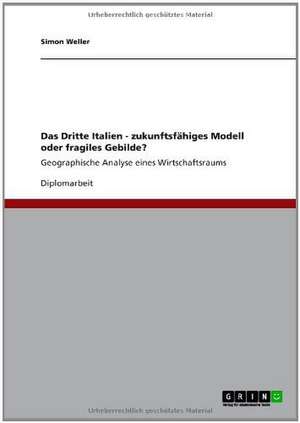 Das Dritte Italien - zukunftsfähiges Modell oder fragiles Gebilde? de Simon Weller